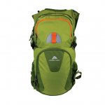 Ozark Trail OT Backpack 23L Reverdale Hydration Backpack,Turtle/Olive